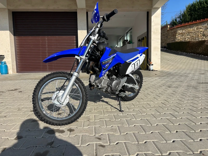 Yamaha Ttr 110