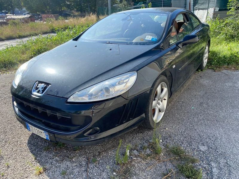 Peugeot 407 2.7HDI tip VHZ - изображение 2