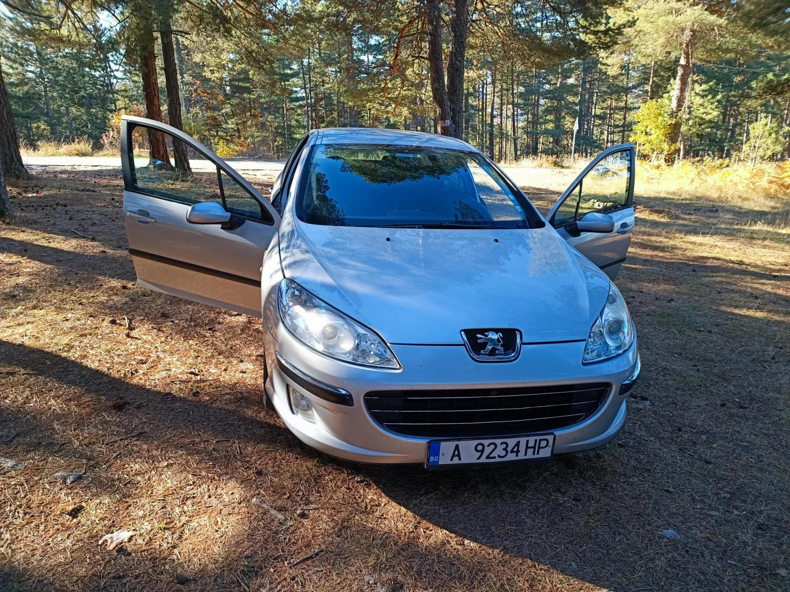 Peugeot 407 1.6 hdi - изображение 3