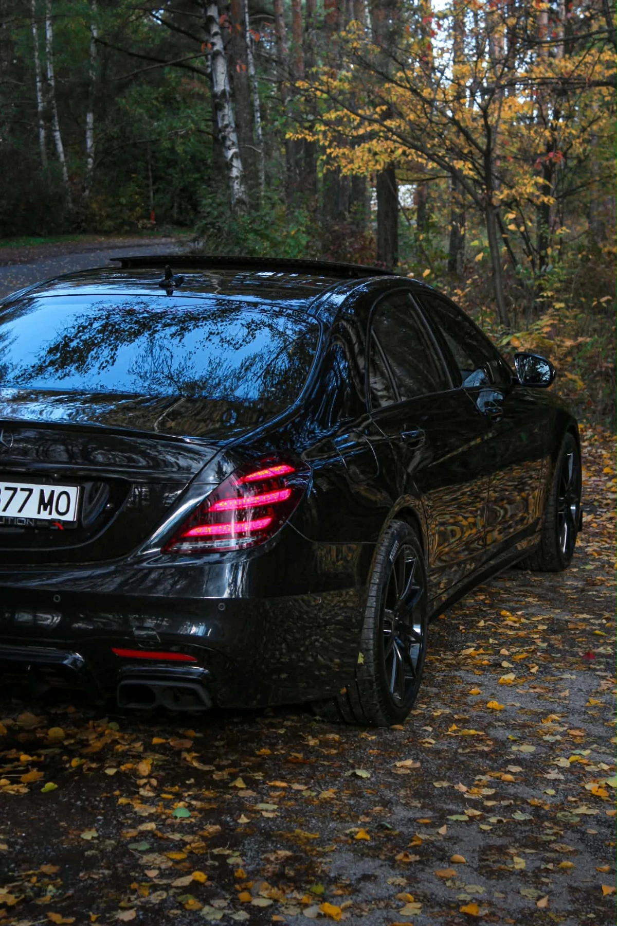 Mercedes-Benz S 560 LONG BRABUS, снимка 8 - Автомобили и джипове - 56720704