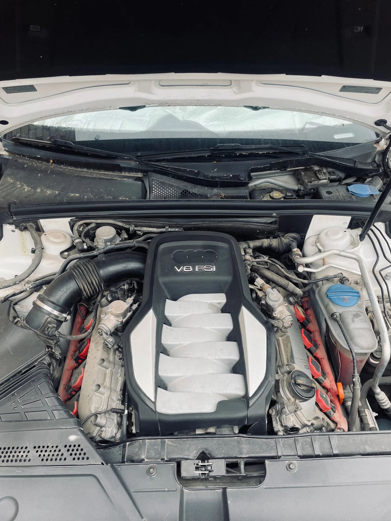 Audi S5 4.2FSI | Mobile.bg � ����������� 7