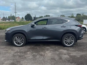 Lexus NX | Mobile.bg    2