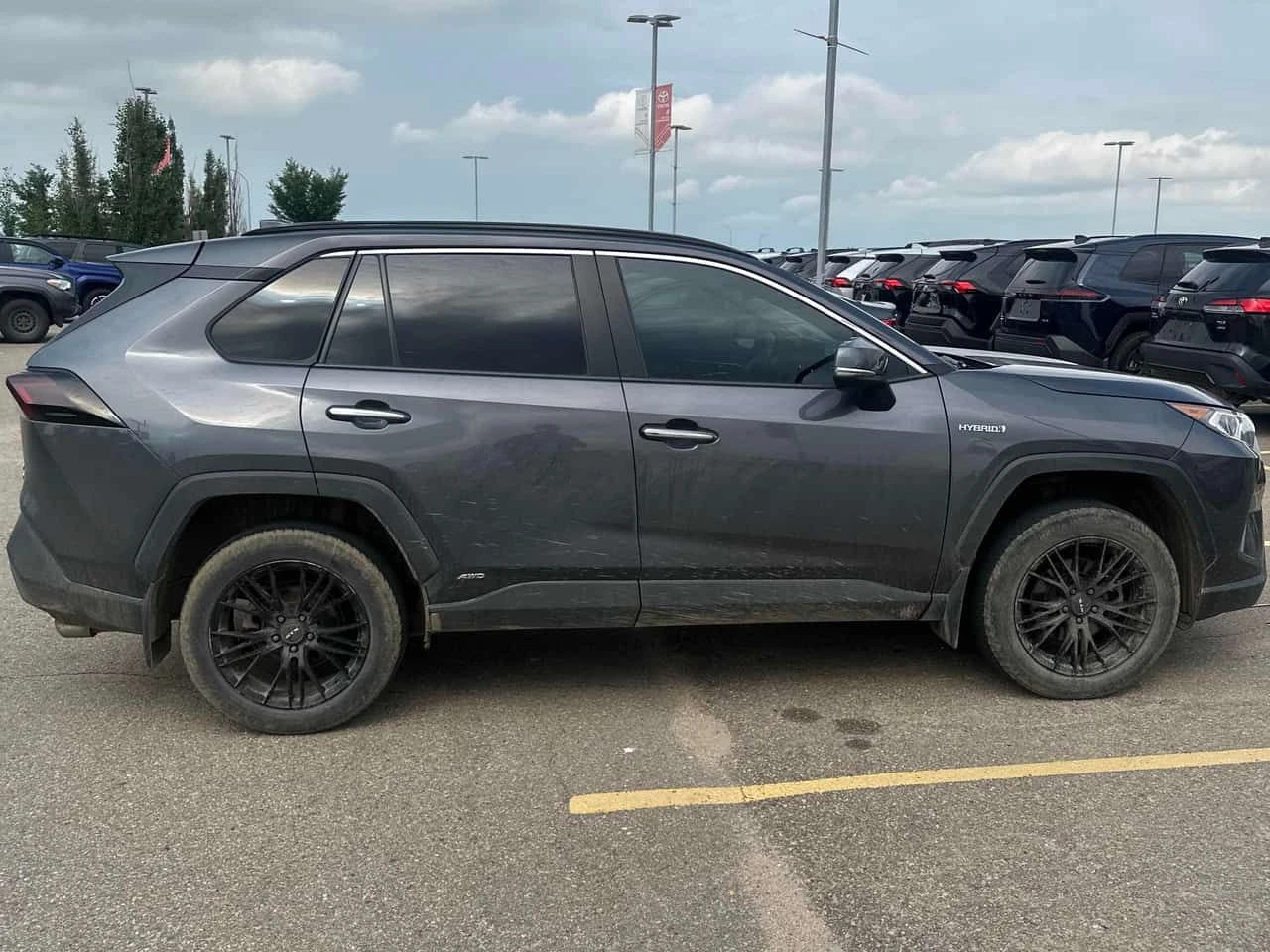 Toyota Rav4 Hybrid Limited /360/JBL/DISTRONIC, снимка 3 - Автомобили и джипове - 55129624