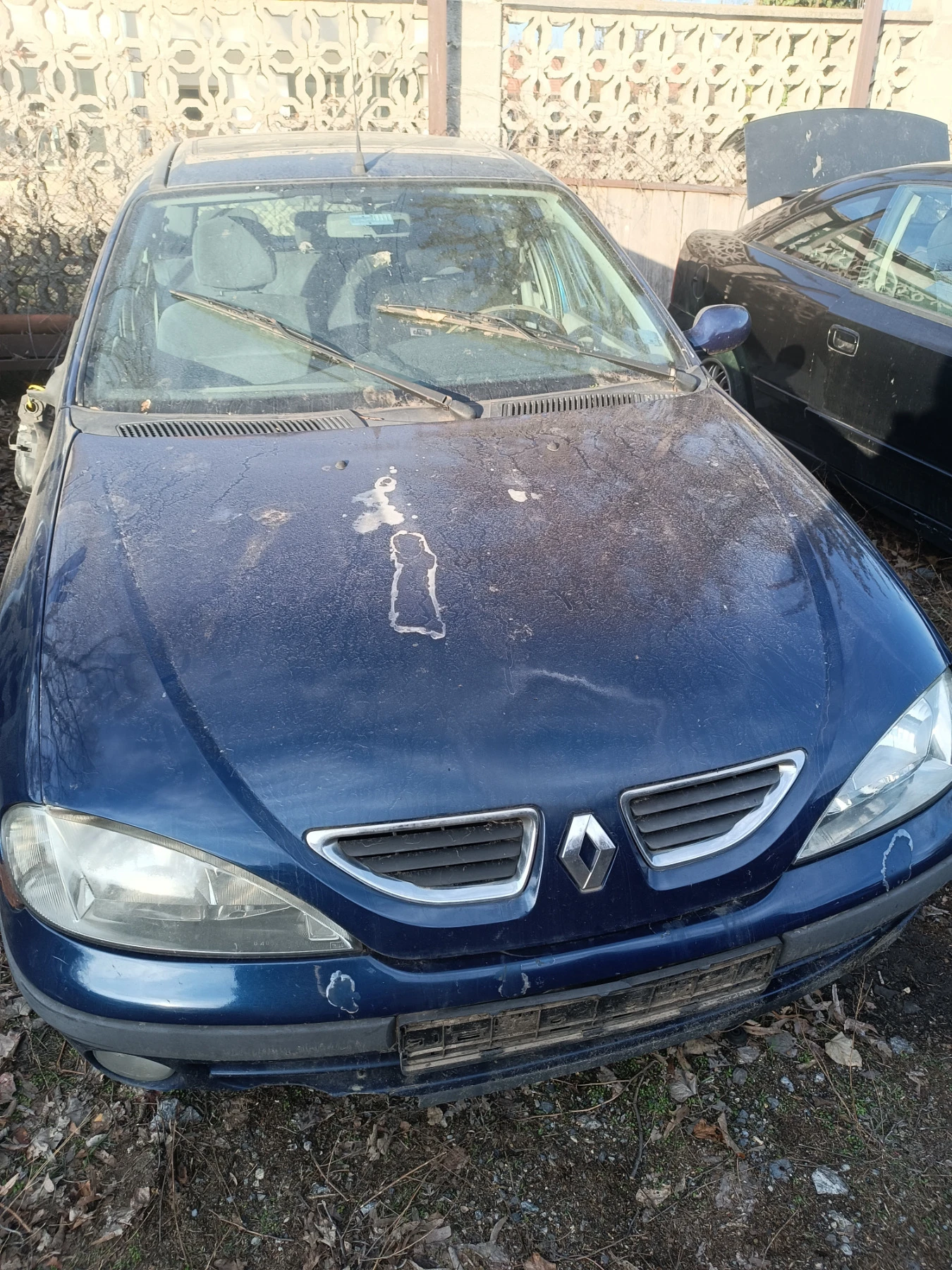 Renault Megane 1.9DCI, снимка 1