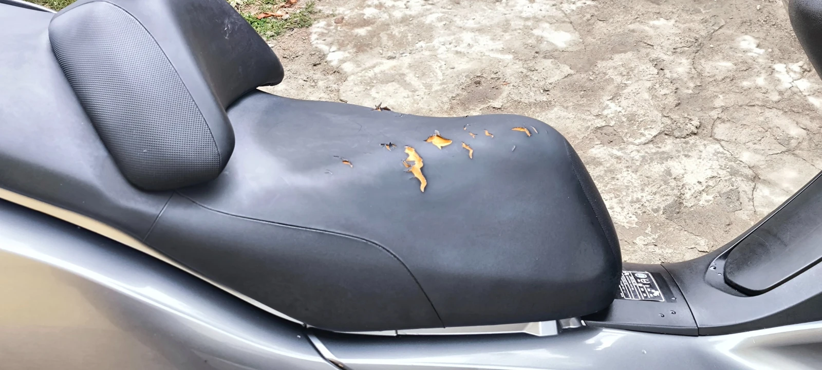 Honda Silver Wing ABS 600 - изображение 8