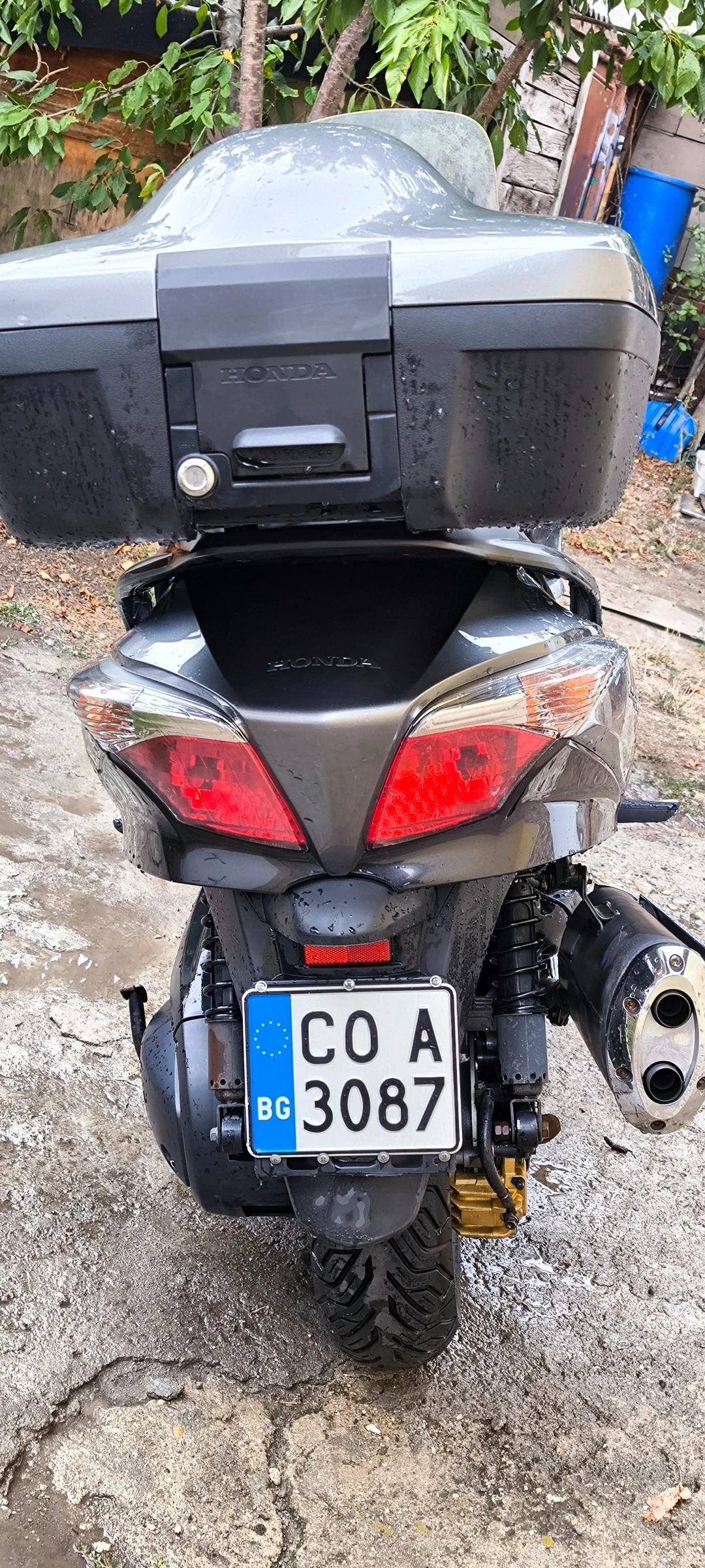 Honda Silver Wing ABS 600 - изображение 2