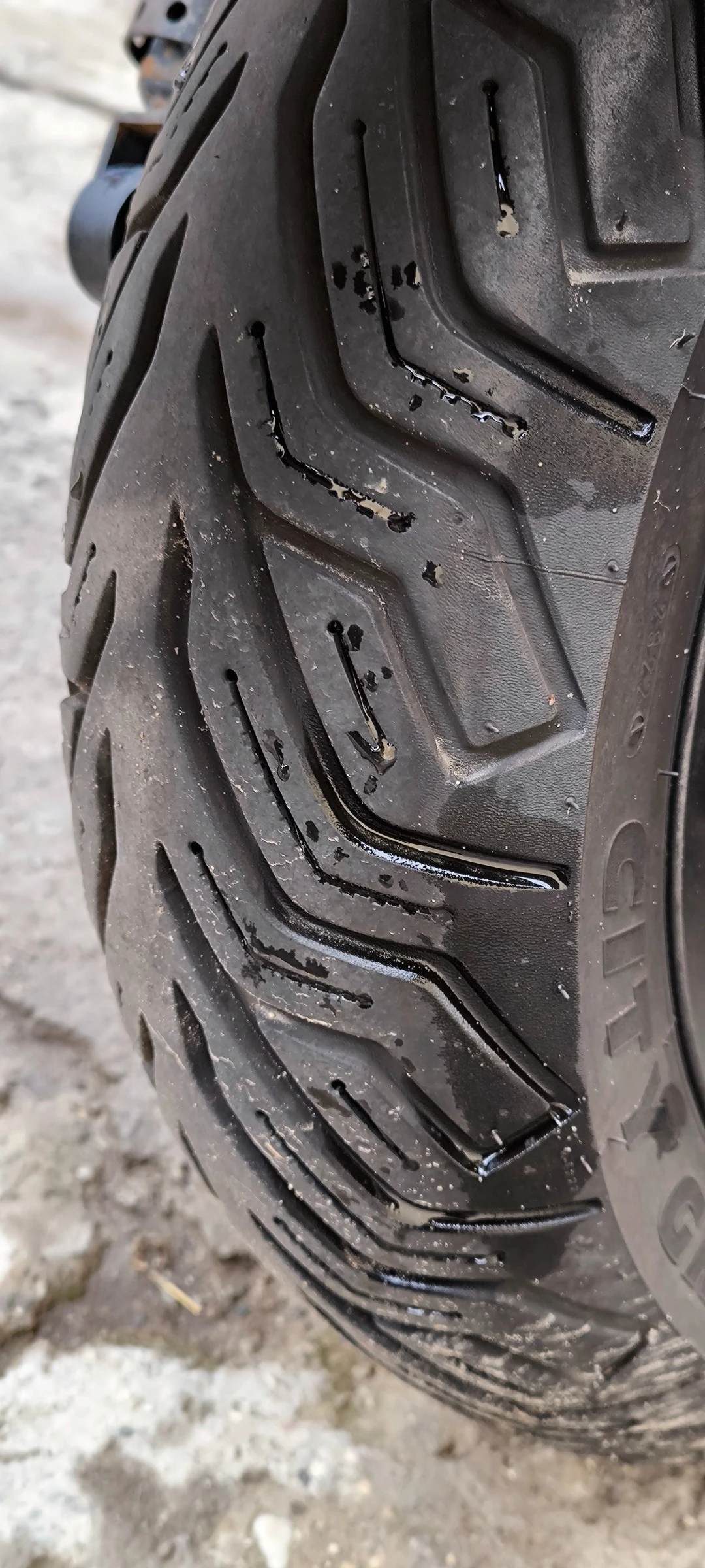 Honda Silver Wing ABS 600 - изображение 6