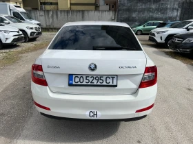 Skoda Octavia 1.6 TDI | Mobile.bg    4
