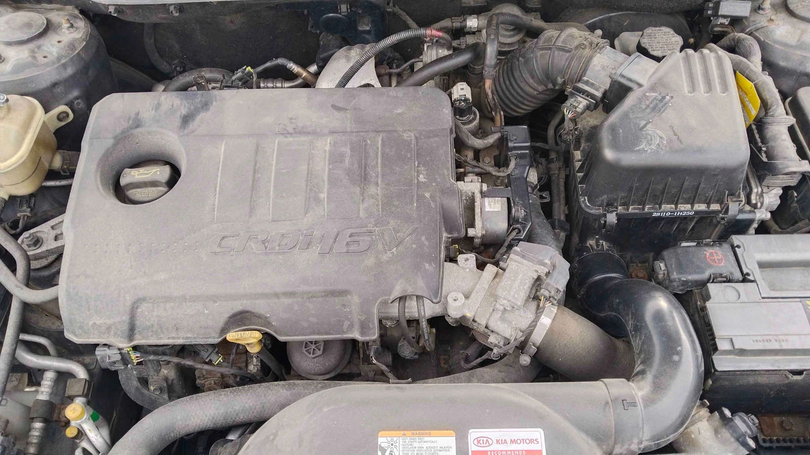 Kia Ceed  - изображение 5