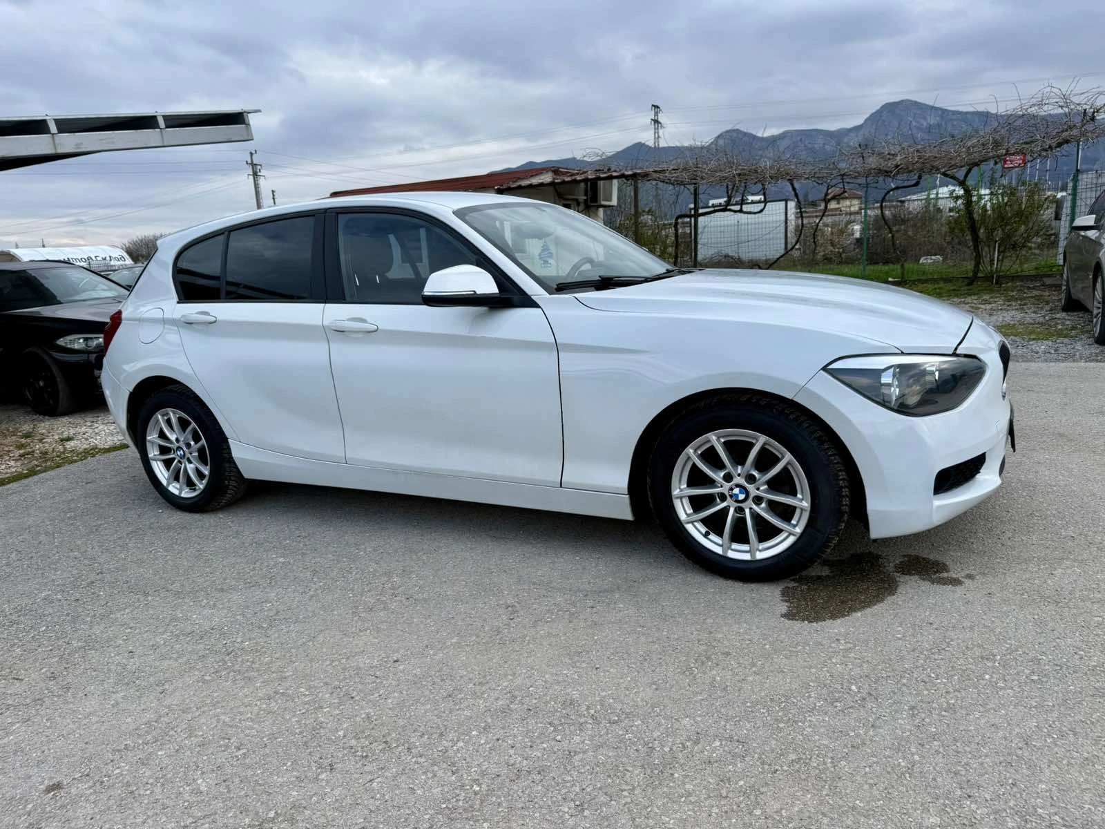 BMW 116 2.0D, снимка 4 - Автомобили и джипове - 54049694