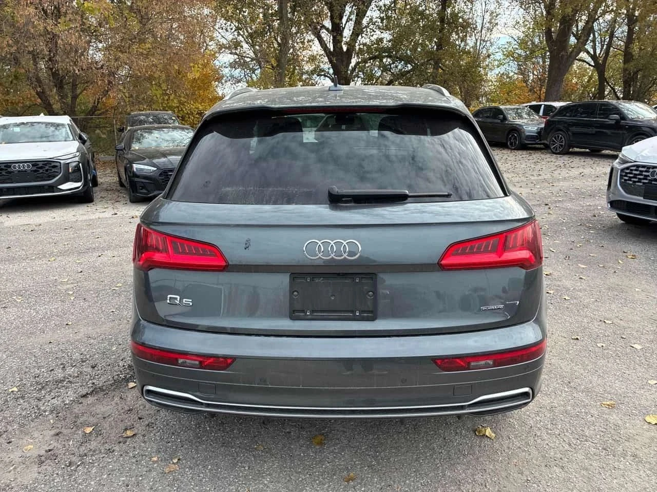 Audi Q5, снимка 4 - Автомобили и джипове - 56716846