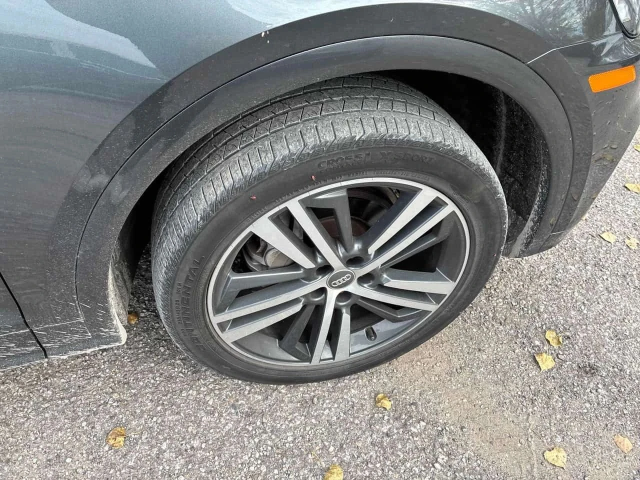 Audi Q5, снимка 7 - Автомобили и джипове - 56716846