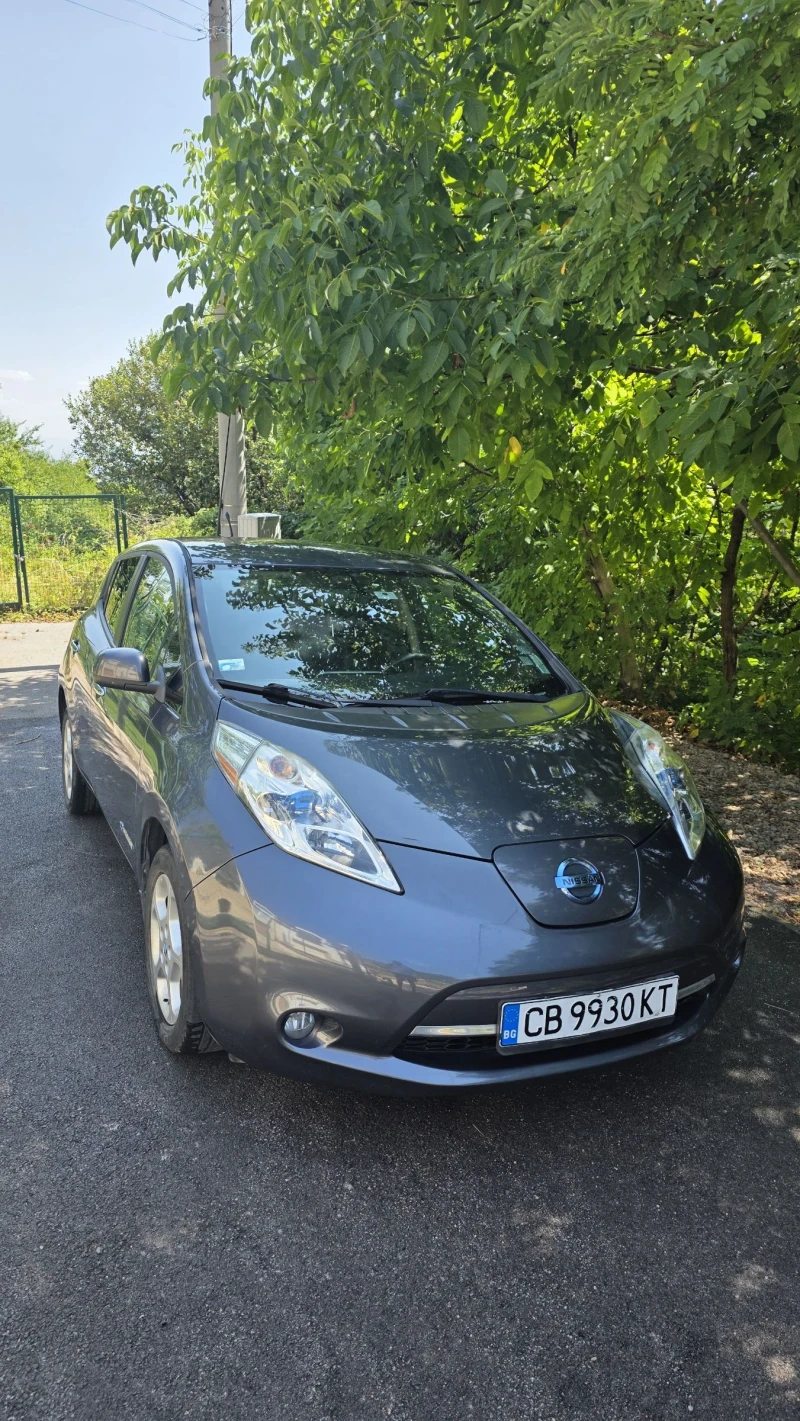 Nissan Leaf 