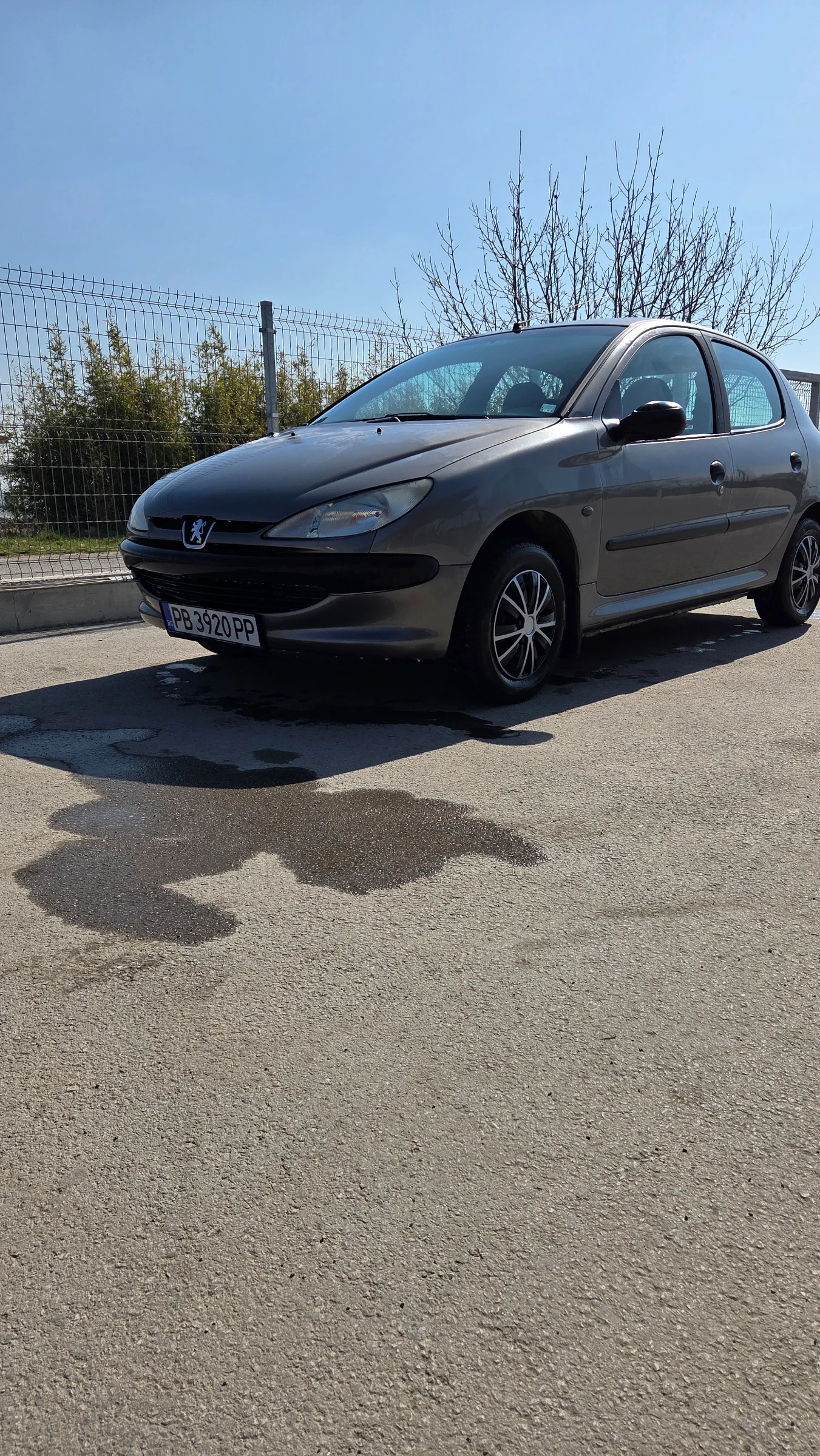 Peugeot 206, снимка 7 - Автомобили и джипове - 53872492