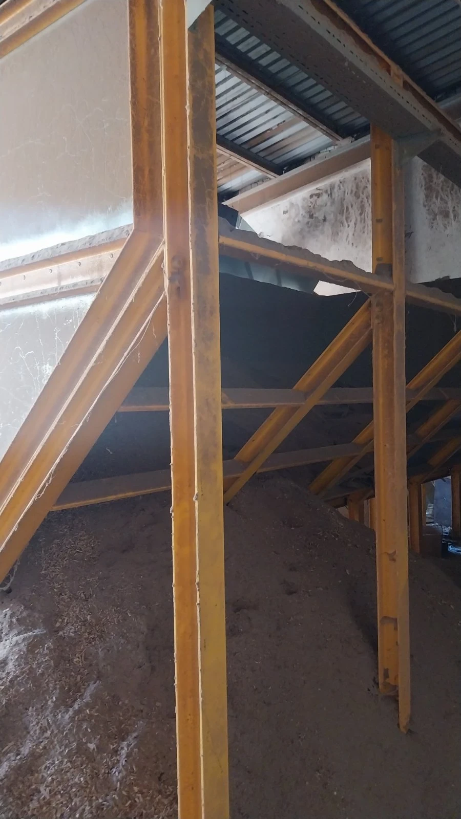 Специализирани машини Машини за дърводобив, снимка 13 - Селскостопанска техника - 53657327