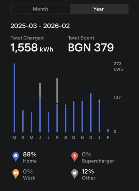 Tesla Model 3 Long Range AWD 82kWh, снимка 2