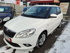 Skoda Fabia 1.6TDI Euro5B 1