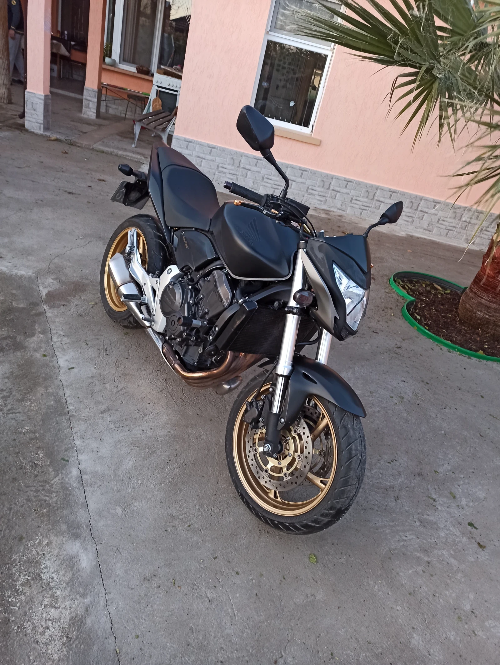 Honda Hornet  - изображение 2