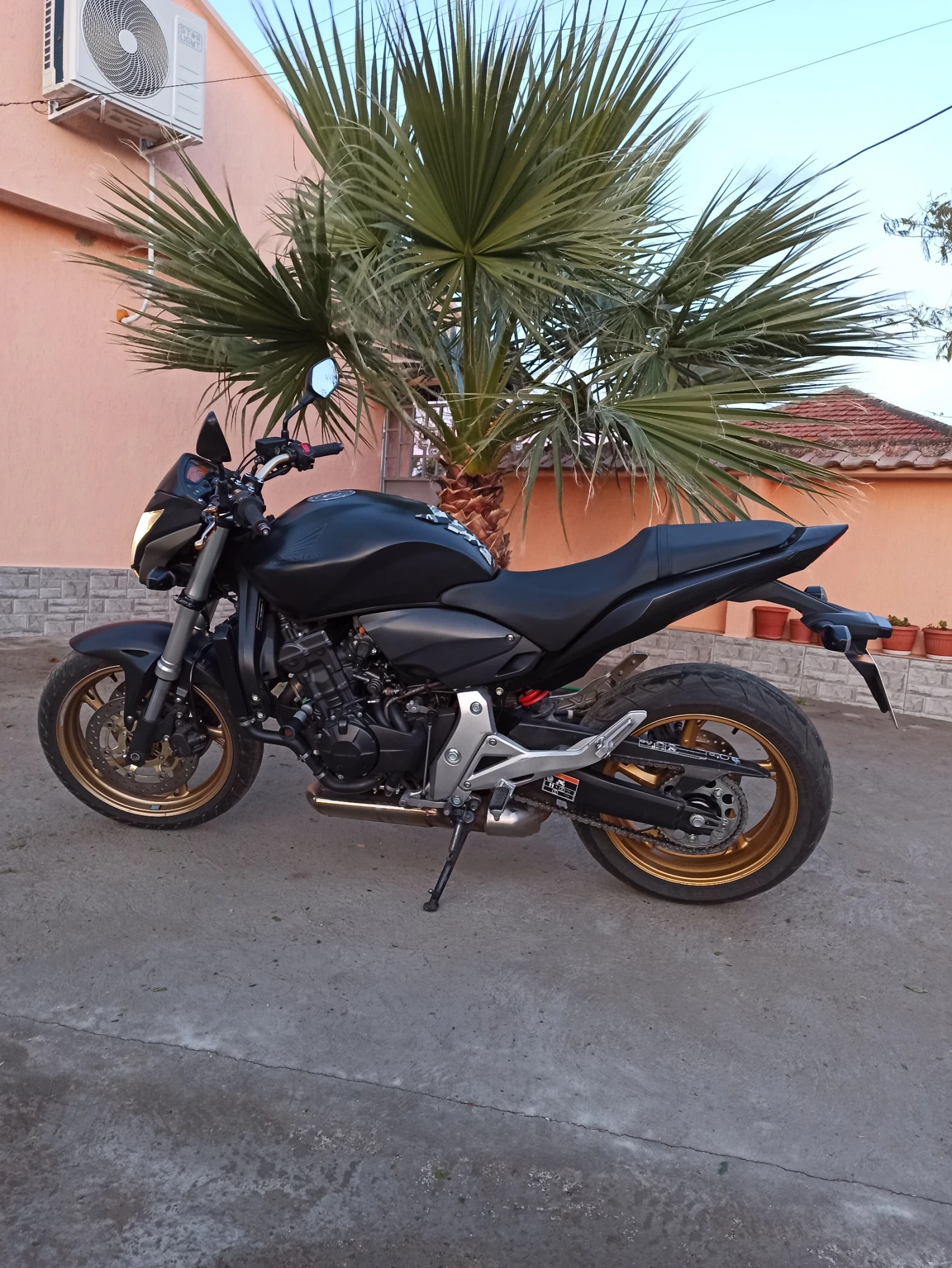 Honda Hornet  - изображение 3