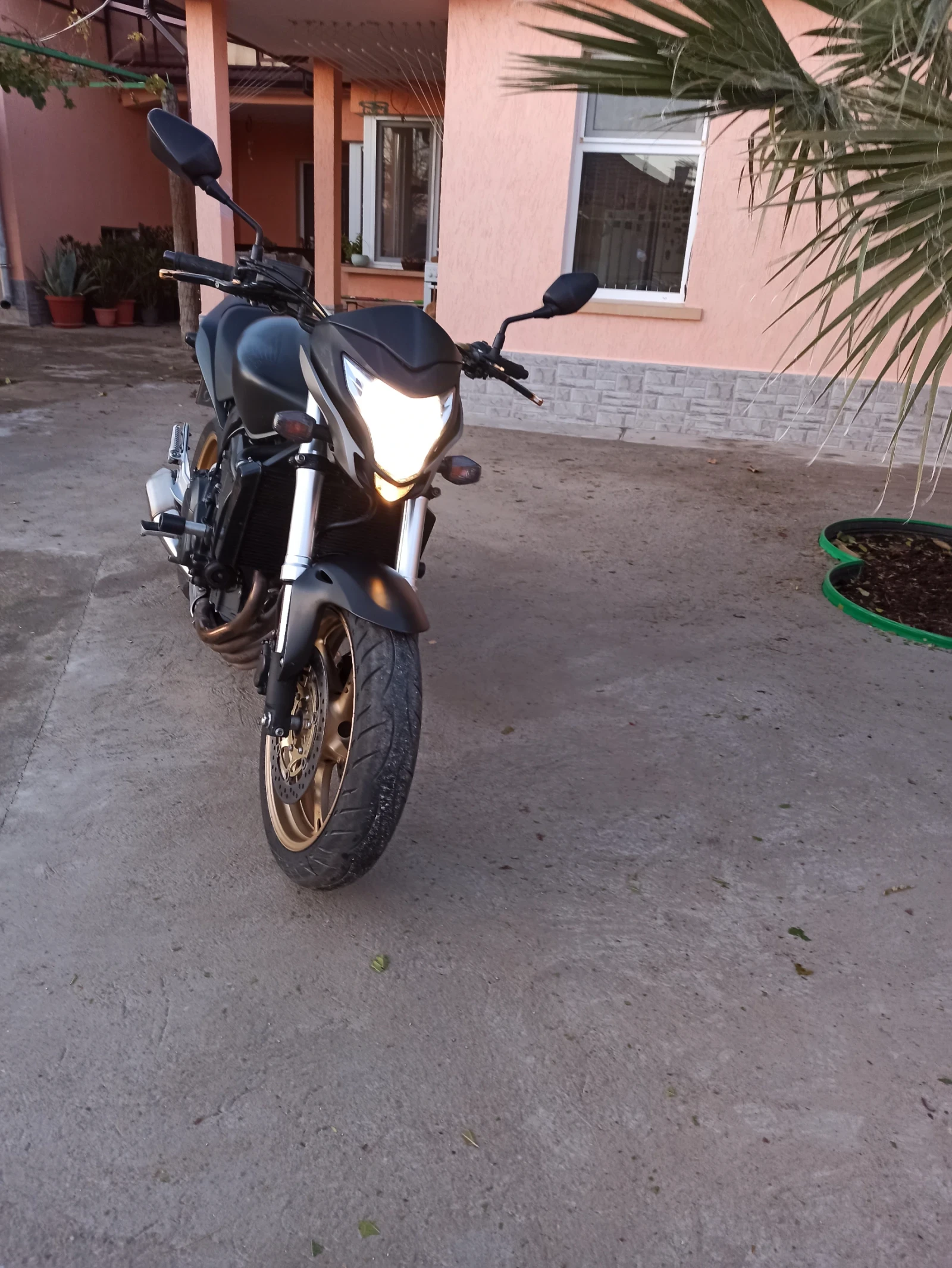 Honda Hornet  - изображение 4