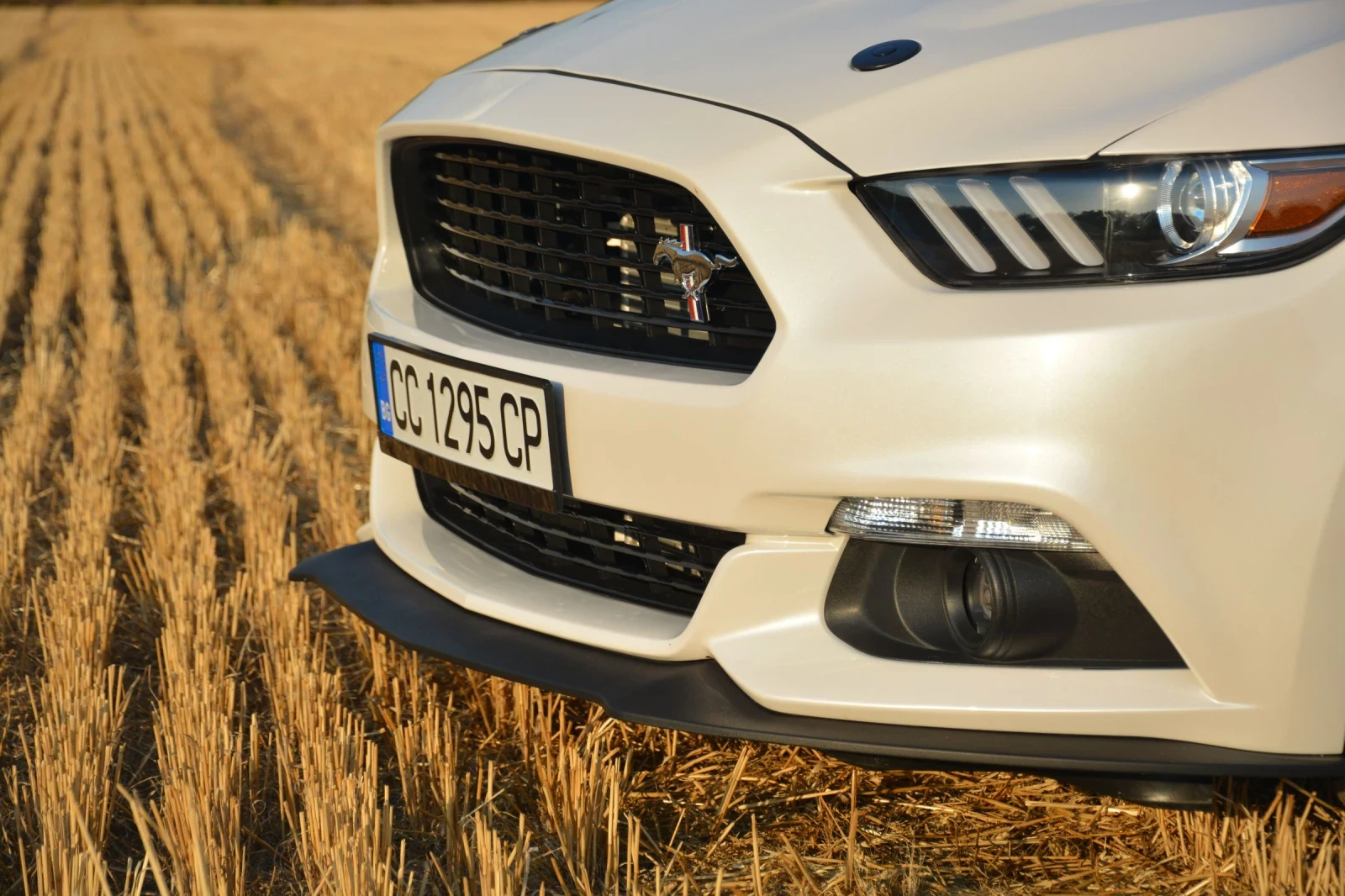 Ford Mustang  - изображение 2