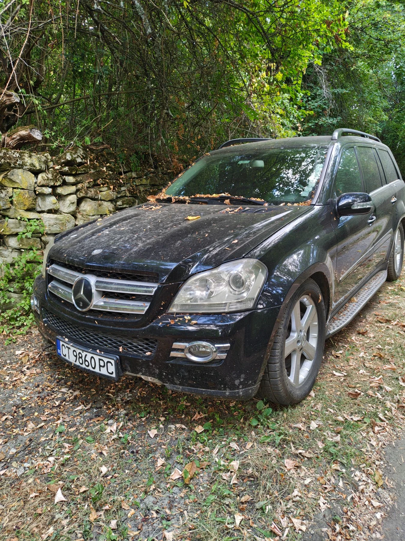 Mercedes-Benz GL 500 Газ/бензин 