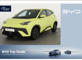 ������ BYD Dolphin