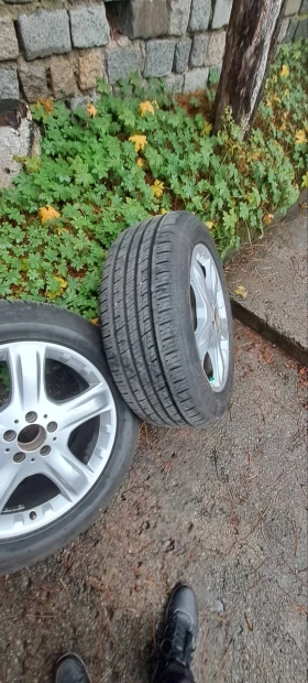    255/55R19  Mercedes-Benz ML | Mobile.bg    2