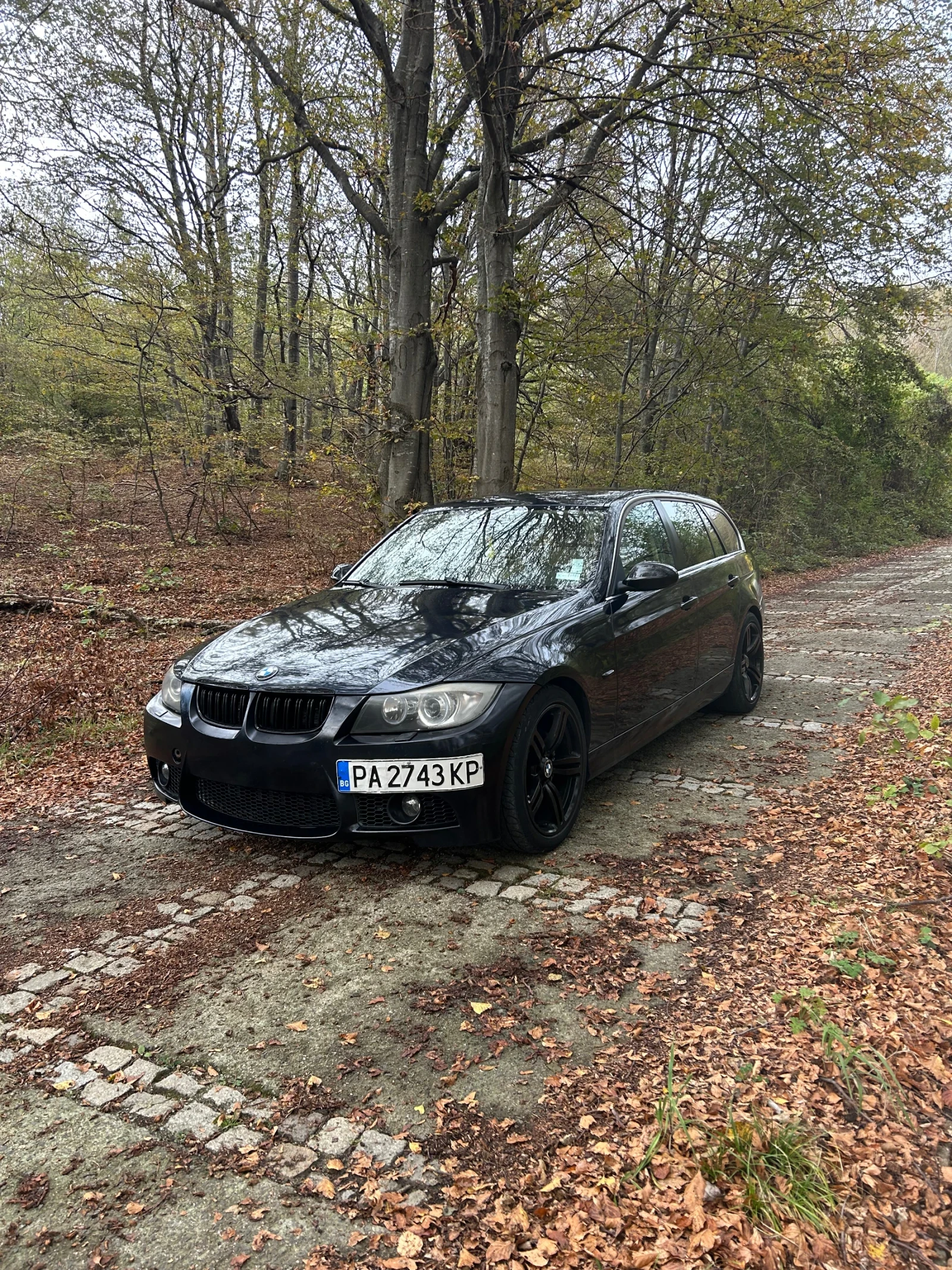 BMW 330 E91 330xd - изображение 4