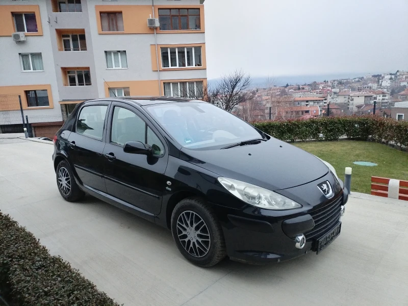 Peugeot 307 2.0 139кс Климатроник 140хил.км Подгреви Парктрон, снимка 3 - Автомобили и джипове - 53089276