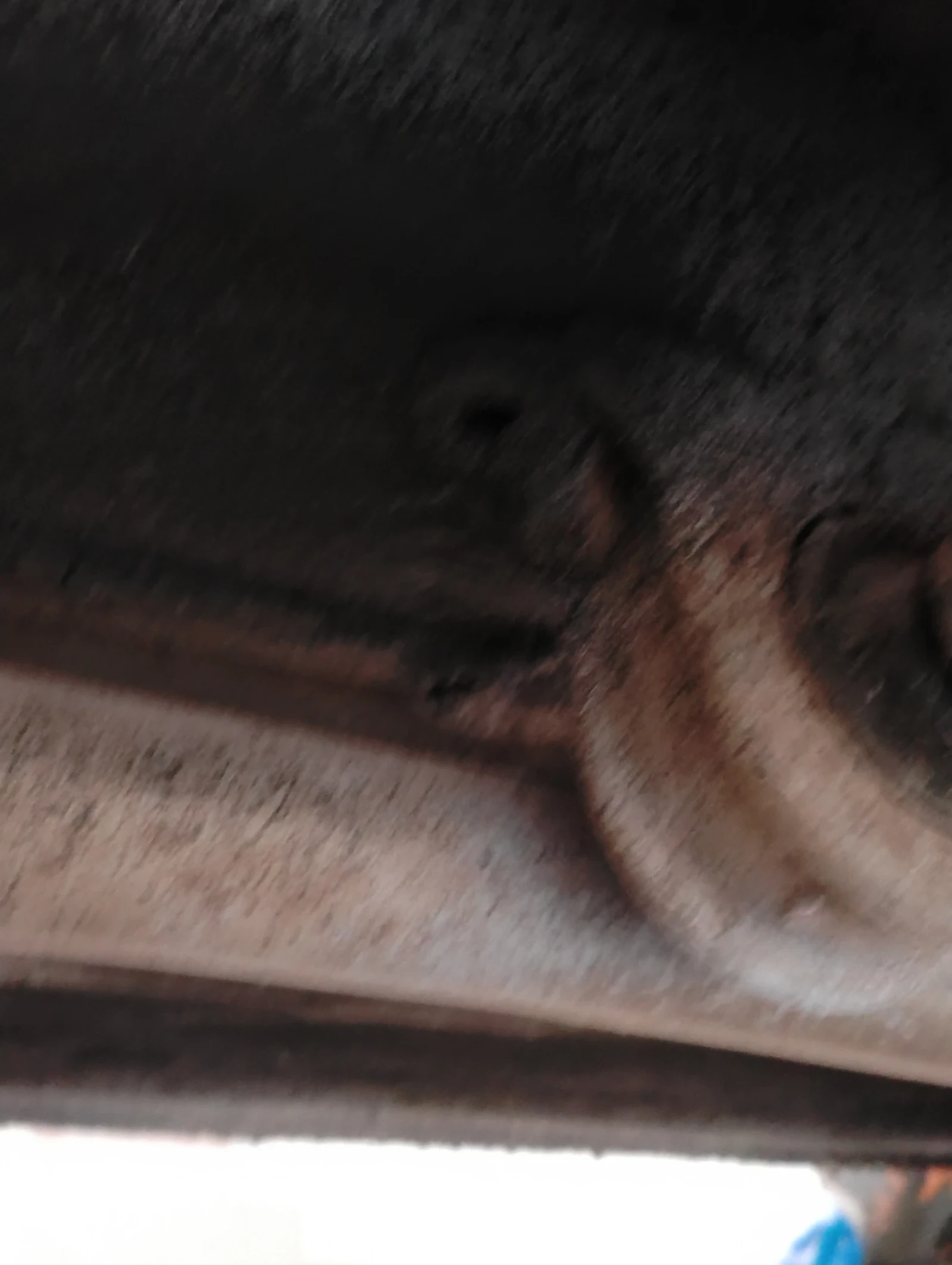 Lada Niva, снимка 12 - Автомобили и джипове - 53755035