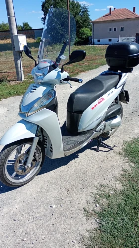  Honda Sh