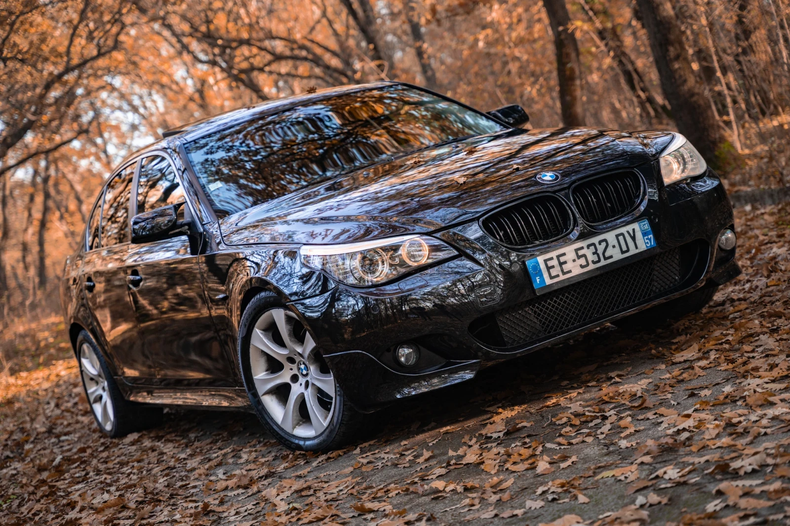 BMW 525 BMW E60 525d 177 . . 2006 .   | Mobile.bg   1