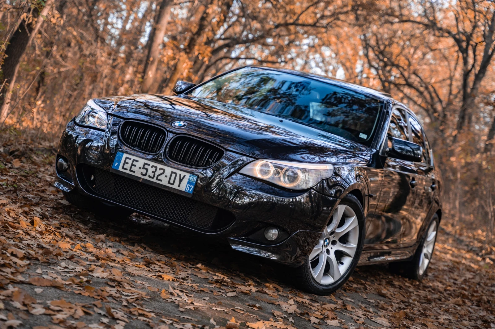 BMW 525 BMW E60 525d 177 . . 2006 .   | Mobile.bg   2