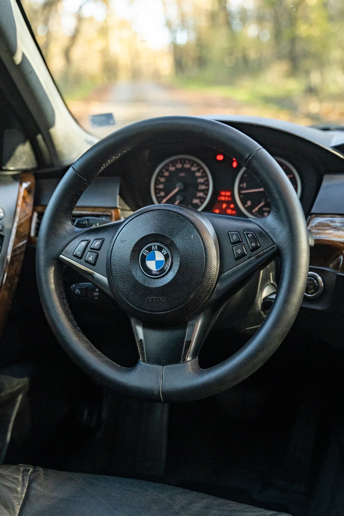 BMW 525 BMW E60 525d 177 . . 2006 .   | Mobile.bg   17