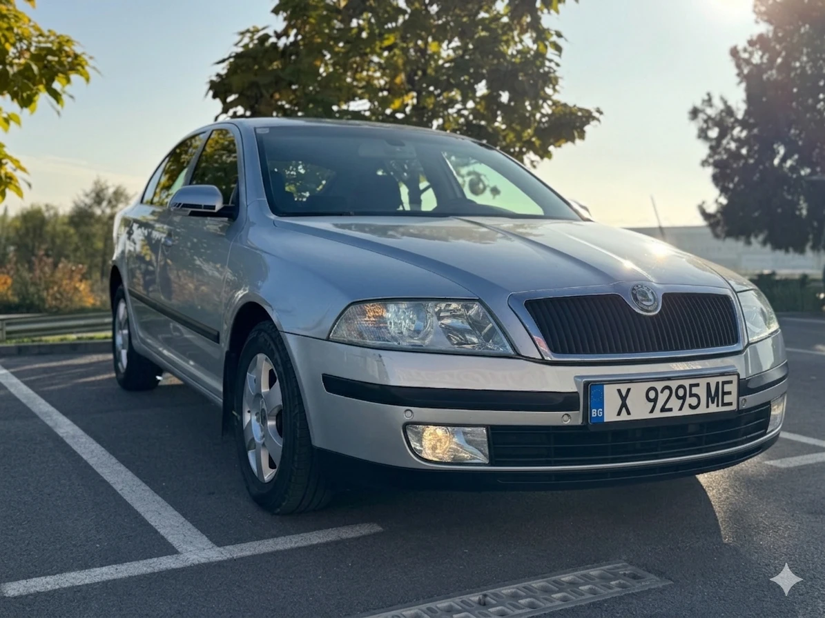 Skoda Octavia 1.9 TDI DSG, Сервизна история