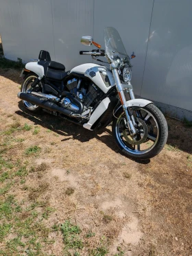 Harley-Davidson V-Rod Muscle, снимка 2
