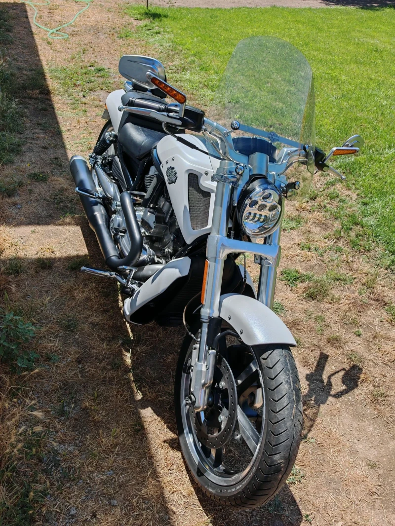 Harley-Davidson V-Rod Muscle