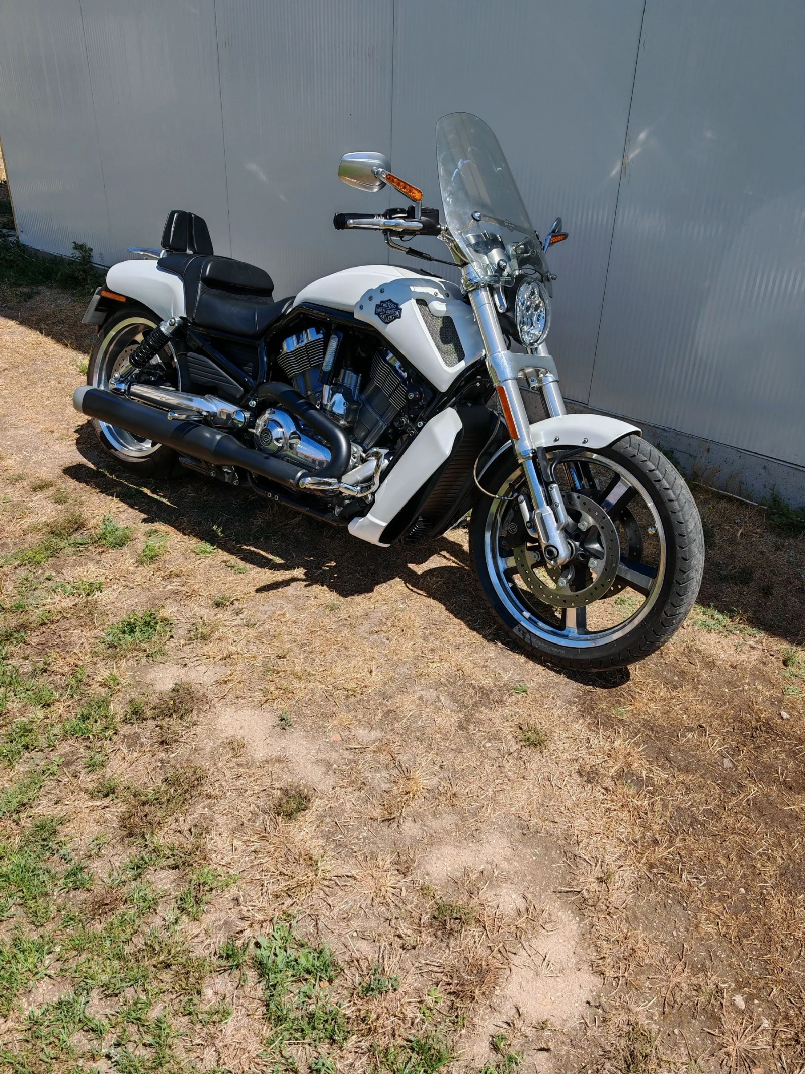 Harley-Davidson V-Rod Muscle - изображение 2