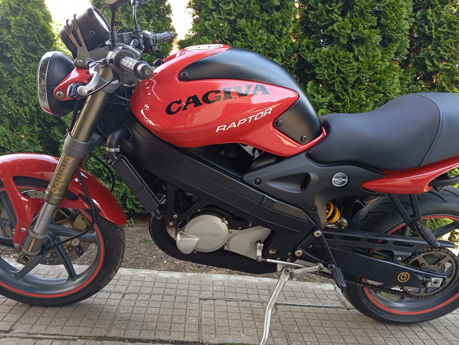 Cagiva Raptor, снимка 1