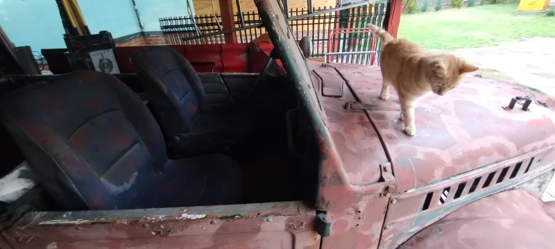 Gaz 69 1, снимка 4 - Автомобили и джипове - 52369976