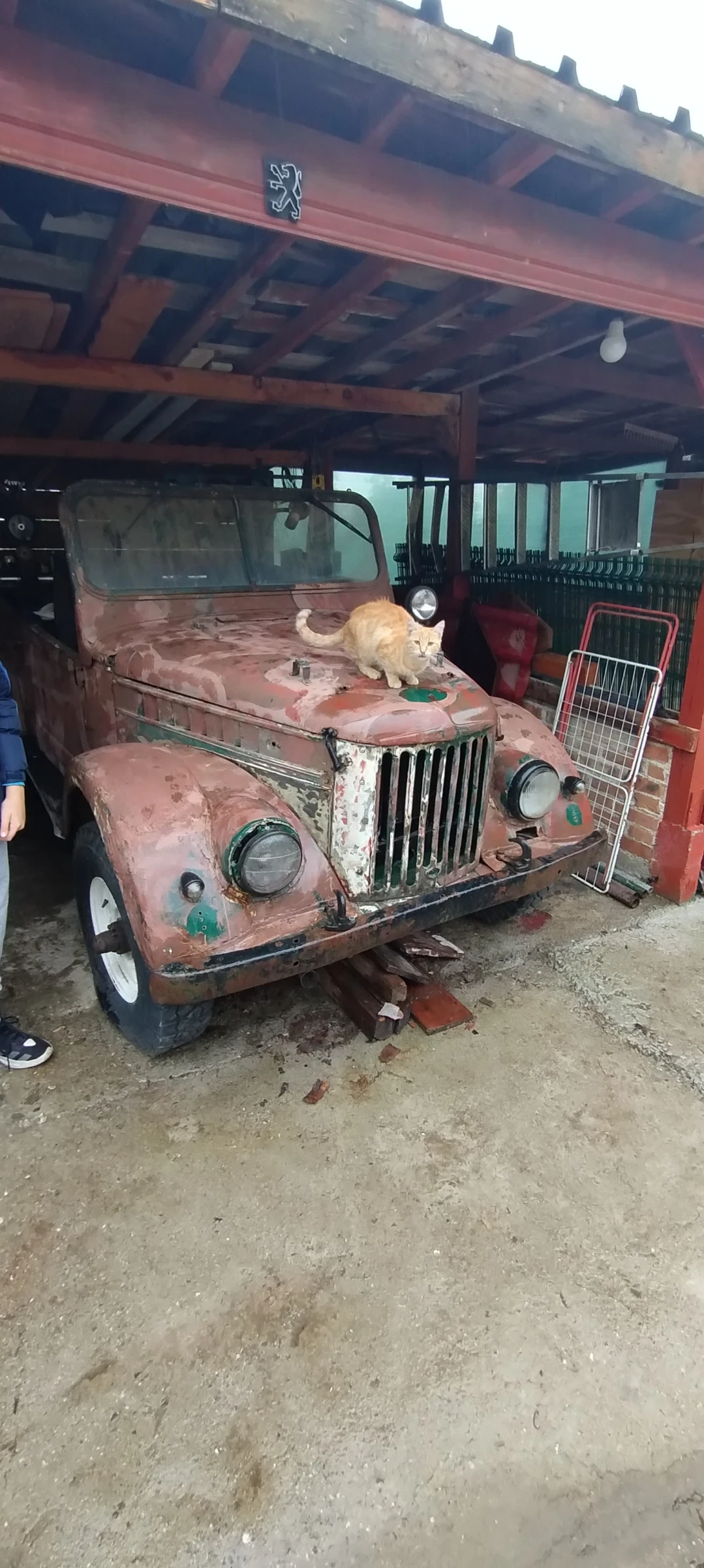 Gaz 69 1 | Mobile.bg   1