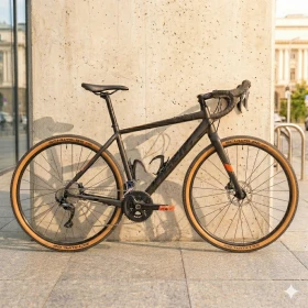 ������ ������