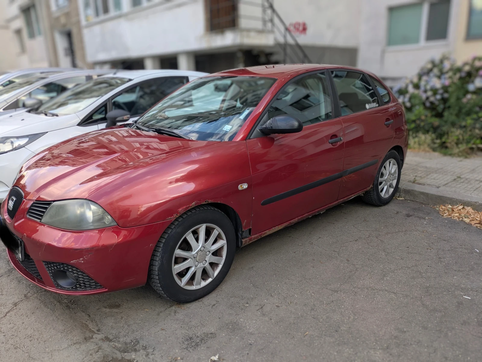 Seat Ibiza  - изображение 3
