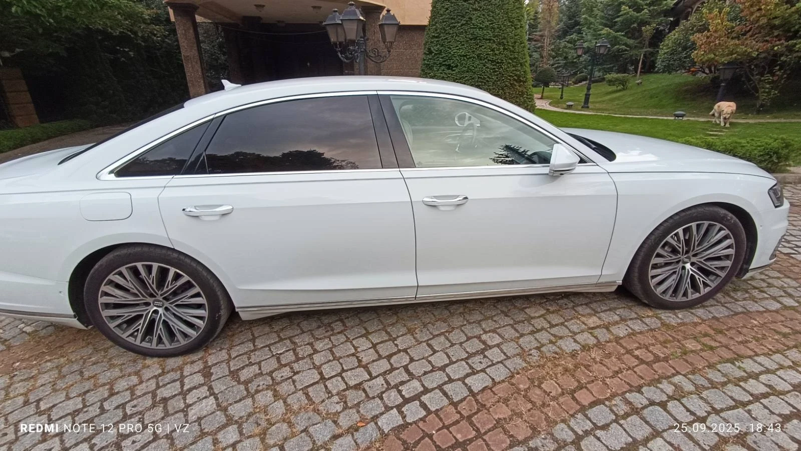 Audi A8 A8L - изображение 6