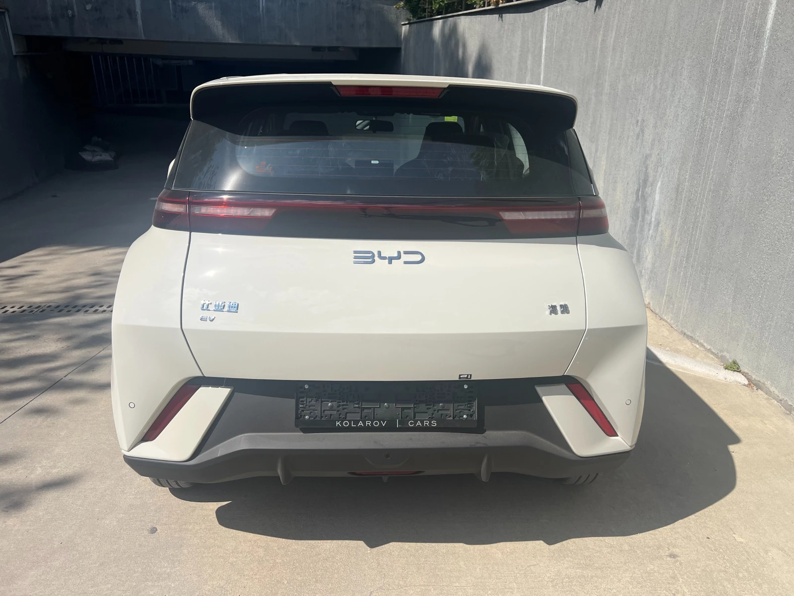BYD Seagull Dolphin Surf 305км. Blade Battery - изображение 5