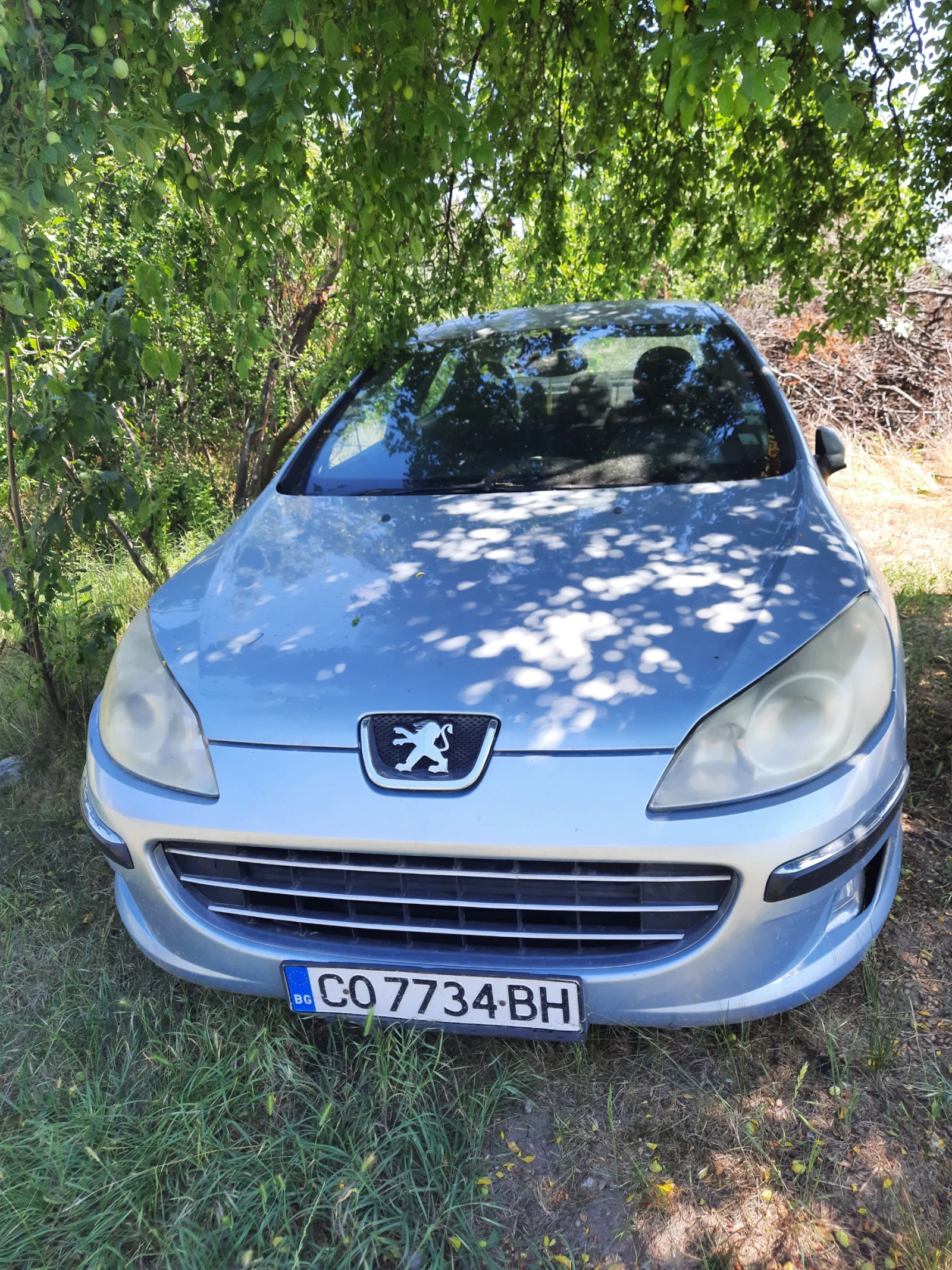 Peugeot 407