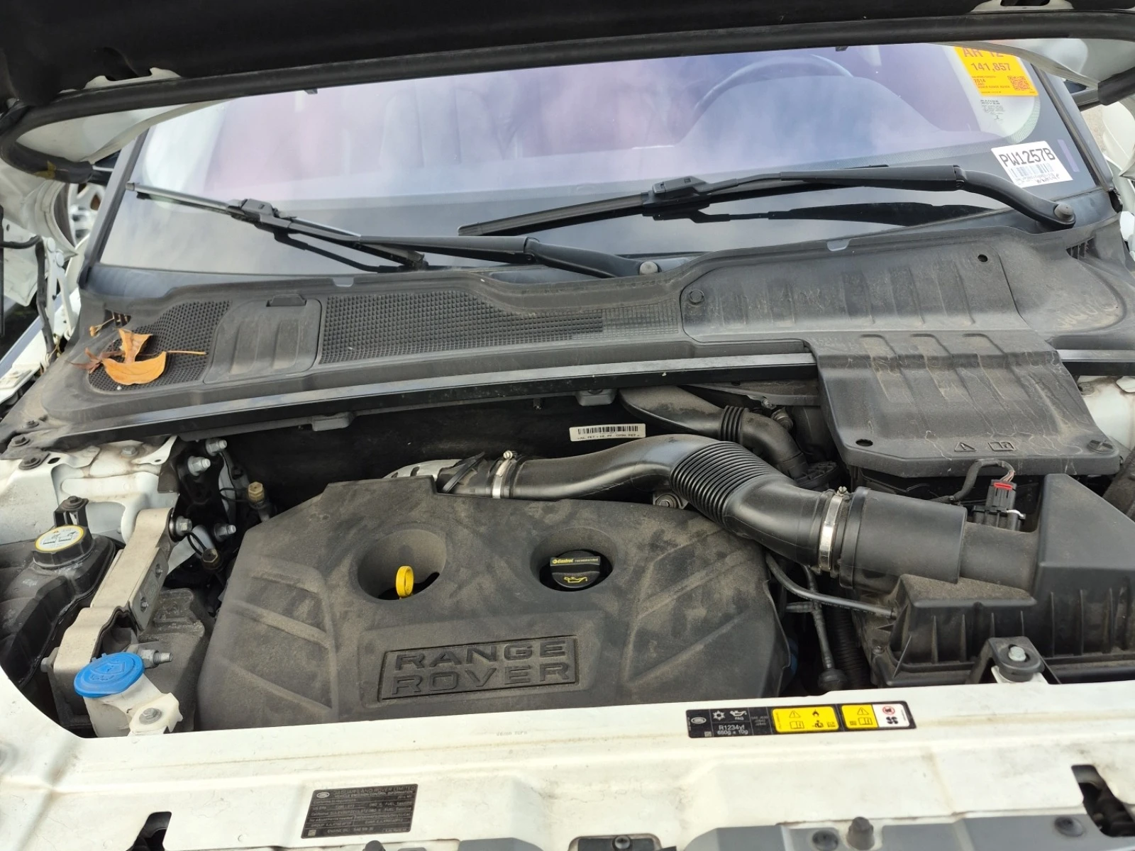 Land Rover Range Rover Evoque PURE PLUS 4WD* �������* Meridian Audio* ������* �� | Mobile.bg � ����������� 12