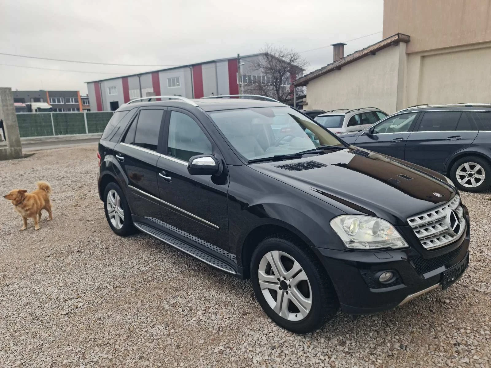 Mercedes-Benz ML 350 FACELIFT Бензинов - изображение 7