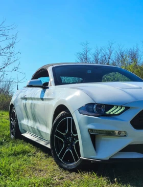 Обява за продажба на Ford Mustang 55th Anniversary  ~45 000 лв. - изображение 4